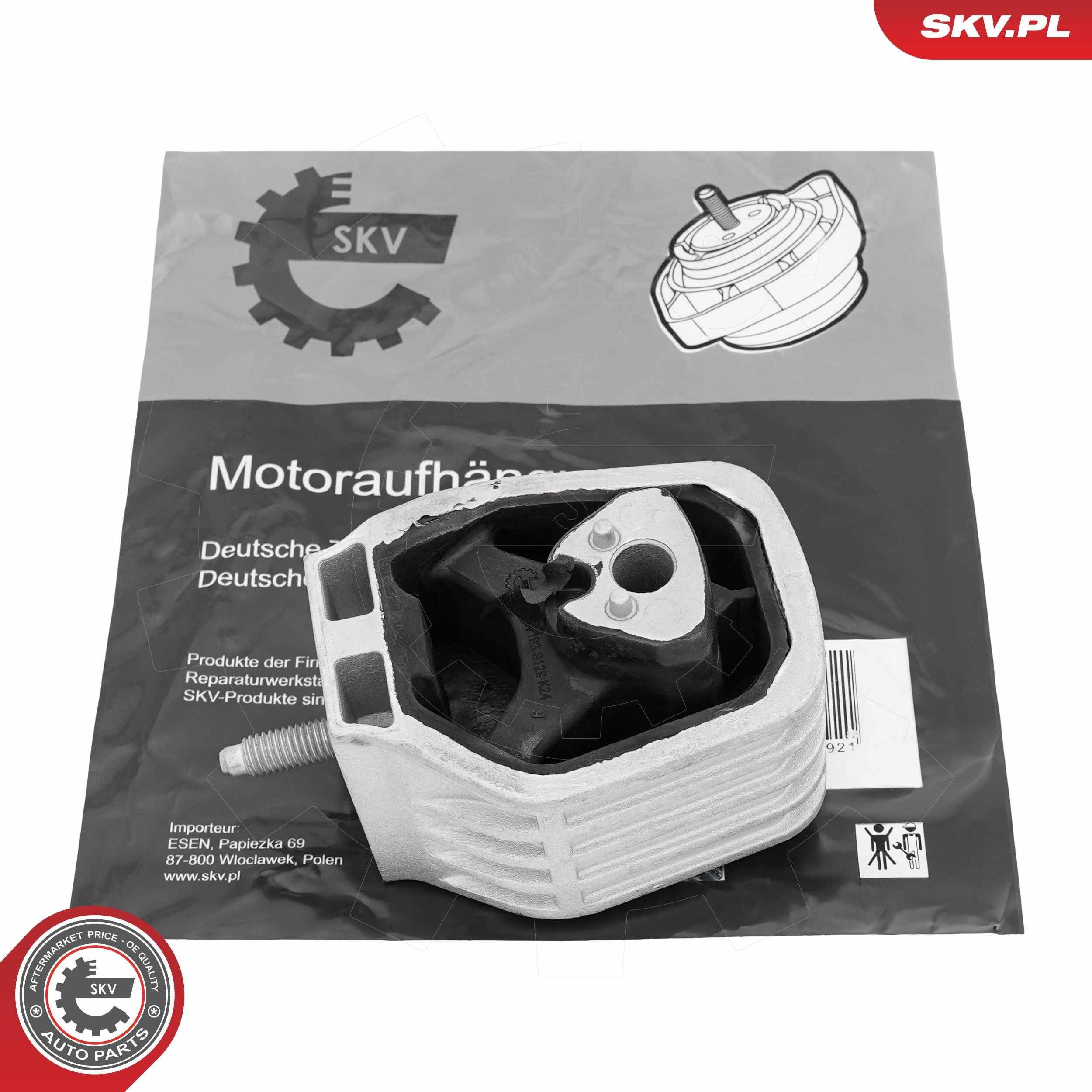 75SKV193 SKV